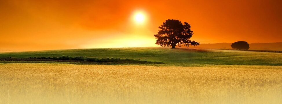 slide campo grano tramonto chironi colori caldi